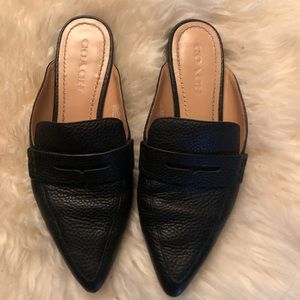 Coach pointed flats